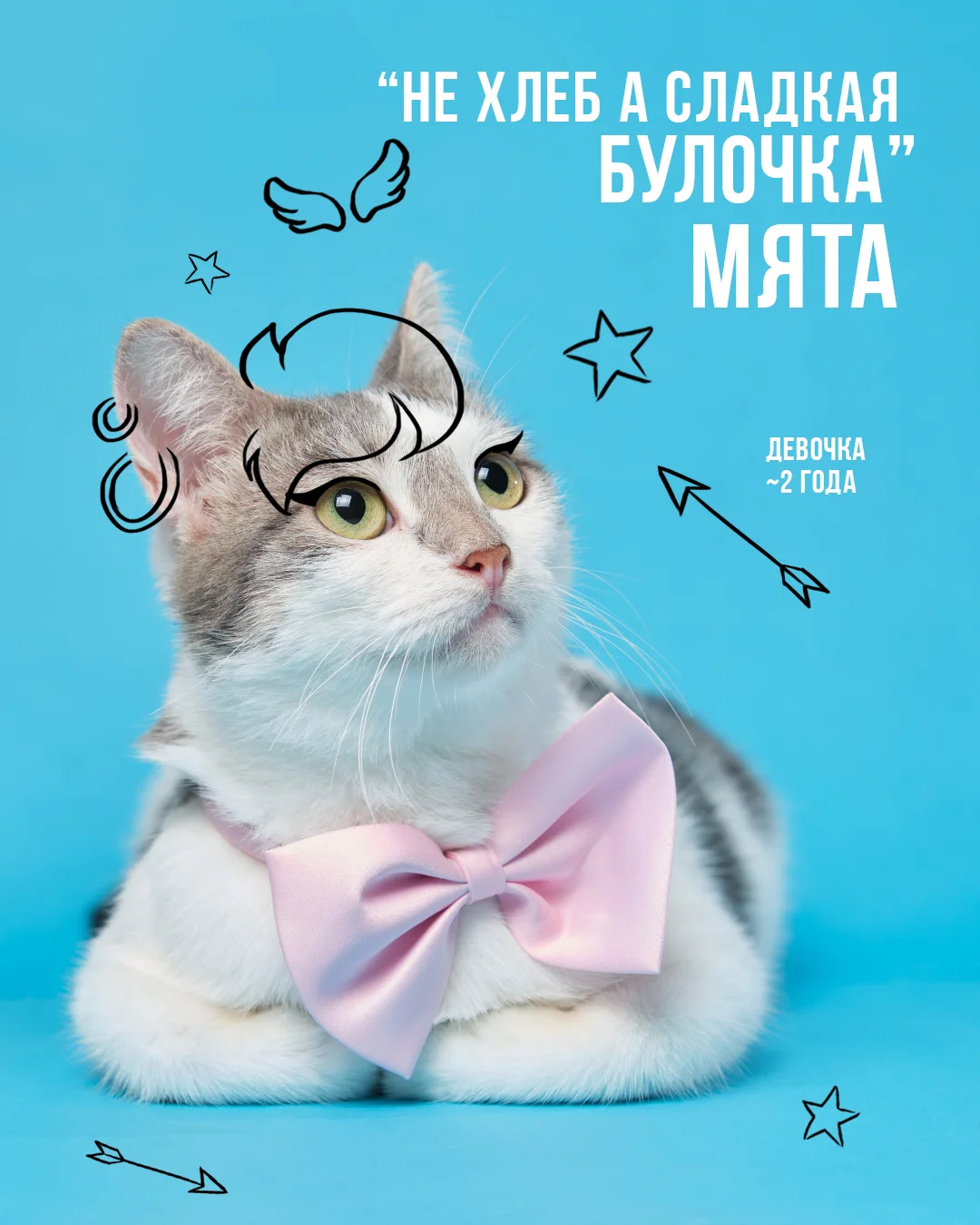 Animal Shelter – Fotografie 3