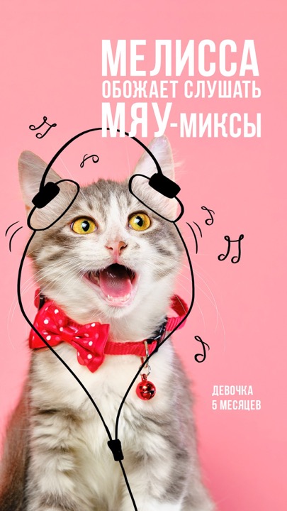 Animal Shelter – фотограф Михаэль Корт