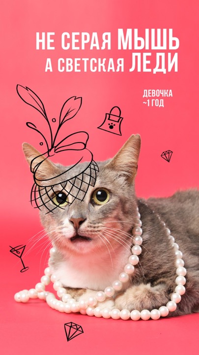 Animal Shelter – фотограф Михаэль Корт