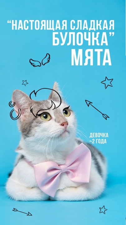 Animal Shelter – фотограф Михаэль Корт